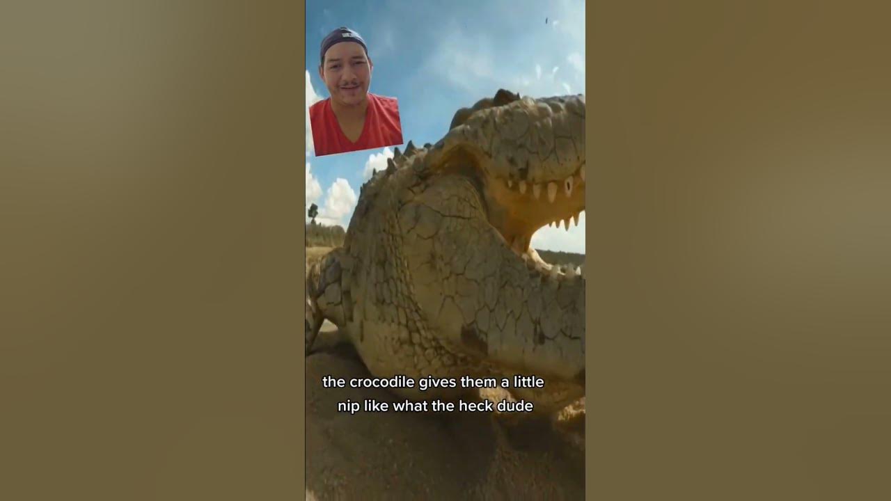 Gustave was a croc even hippos feared - YouTube