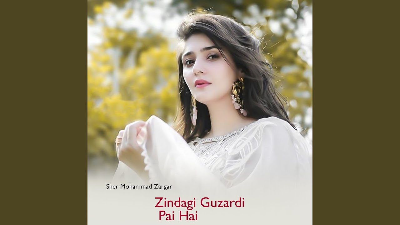 Zindagi Guzardi Pai Hai