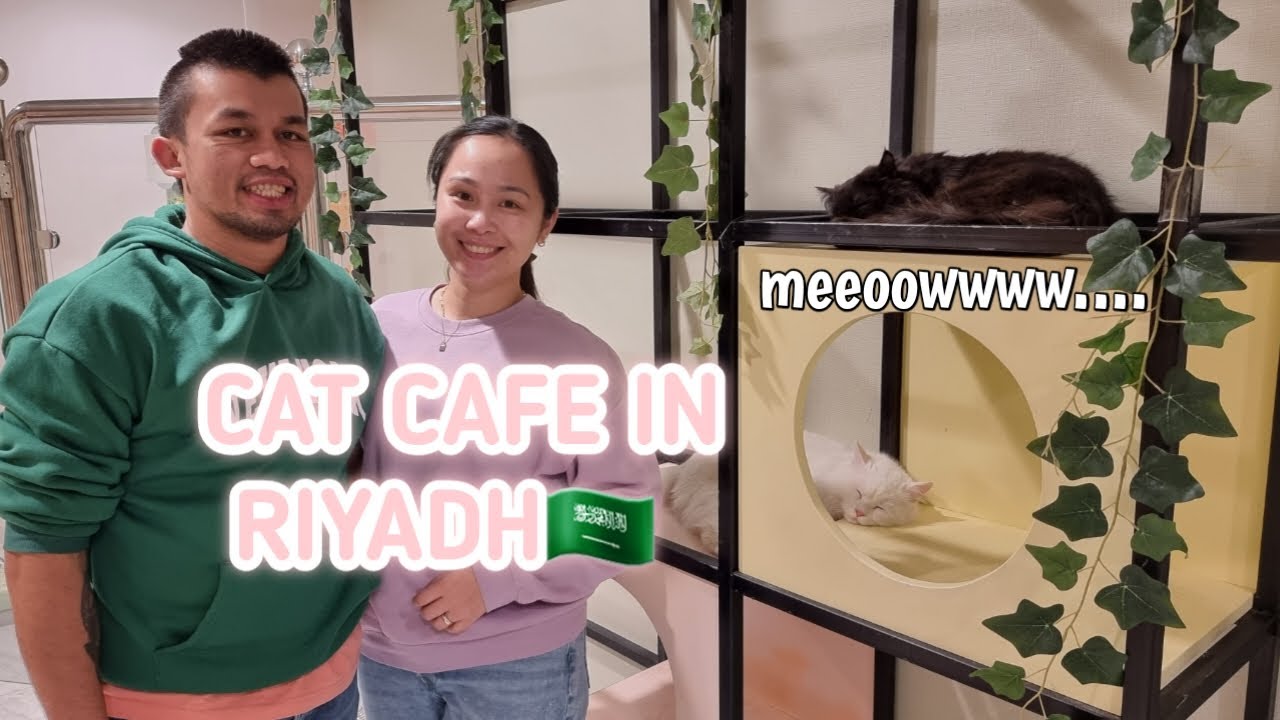 CUP AND CAT | CAT CAFE IN RIYADH, KSA🇸🇦 | RobeGen❤️