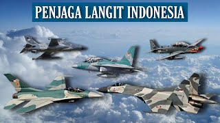 Daftar Pesawat Tempur TNI Angkatan Udara yang Masih Aktif di Operasikan