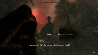 Skyrim - Ill Met By Moonlight