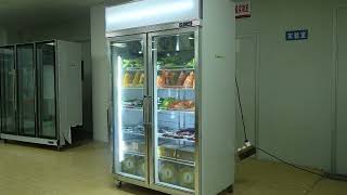 Ideal Refrigeration: Commercial Vertical Glass Door Display Freezer for Supermarkets