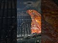 baby back ribs