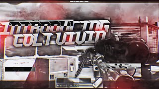 Introducing Colt Vivid