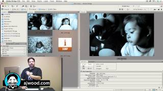 Save Image Changes to Your Photographs by Writing XMP Metadata in Lightroom