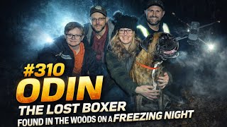 Odin The Lost Boxer Found Just In Time on a Freezing Night - Florida Pet Recovery