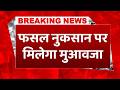 #breakingnews: UP में आपदा के बाद सरकार सख्त, किसानों-पशुपालकों को मिलेगी राहत #upgovernment #cmyogi