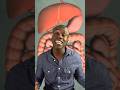 The Digestive System Song Science Biology Stem Education Digestion 