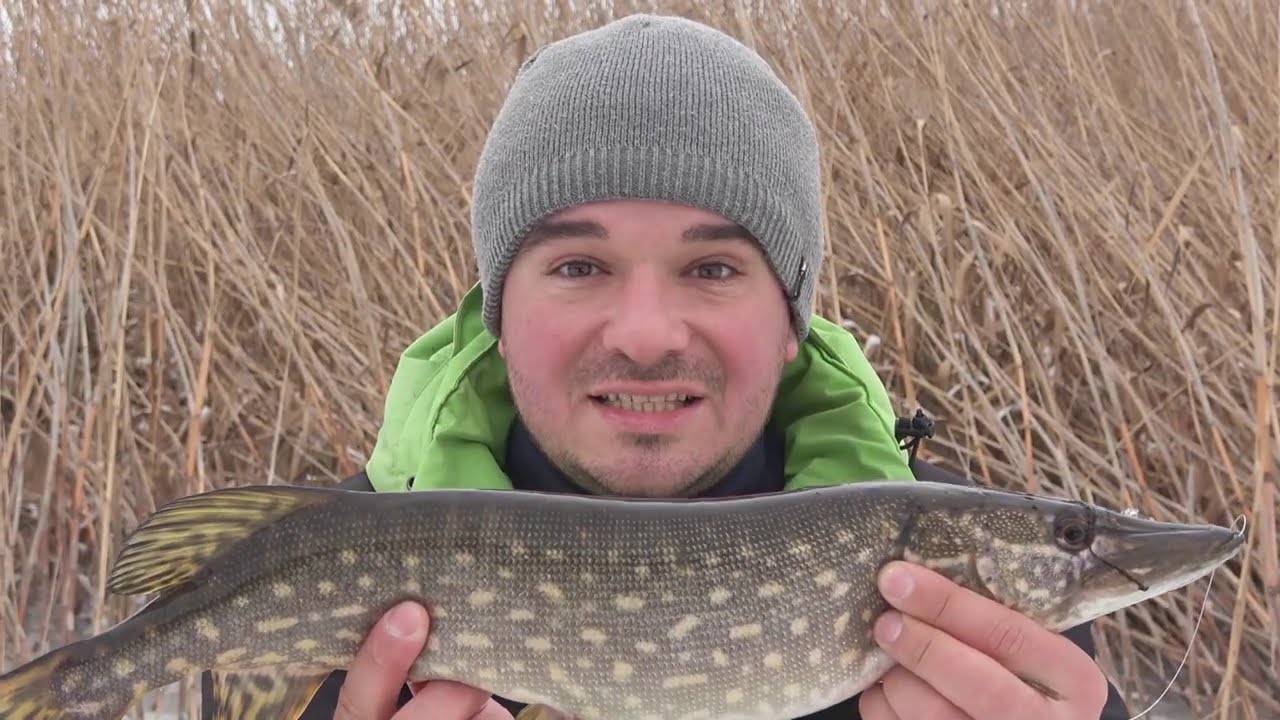 ПОПАЛИ на ДИКИЙ КЛЁВ ЩУКИ!!! ЛОВИЛИ РУКАМИ на ЖЕРЛИЦЫ ❆ РЫБАЛКА в ГЛУХОЗИМЬЕ на СЕВЕРСКОМ ДОНЦЕ