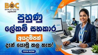 BOC Trainee Secretarial Assistant Job | BOC Jobs |ලංකා බැංකුවේ (BOC) අභ්යාසලාභී ලේකම් සහකාර