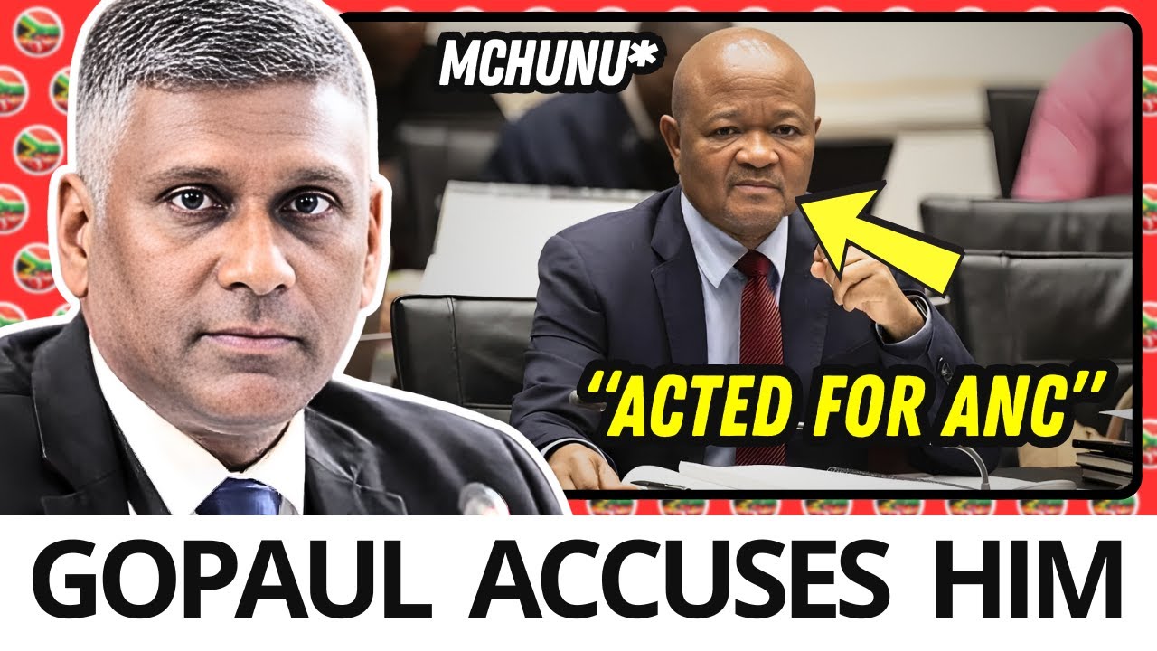 COMISSION BOMBSHELL: Gopaul ACUSSES Mchunu INTERFERED in Mabhida Case “to Benefit ANC”