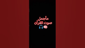أكتب شي تؤجر عليه 🎧💖 #تلاوة_خاشعة #المصحف #قرآن #المصحف #اكسبلور #quran #song #shortvideo #like
