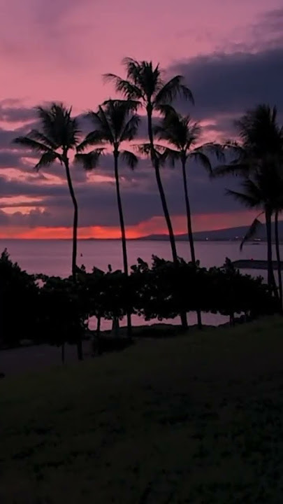 rayuan pulau kelapa cipt. Ismail Marzuki #shorts #short #laguwajib #viral#trendshorts