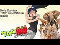 Keroro Gunsoケロロ軍曹 Every time when Aki Hinata scream and Dislike Animals Sgt Frogケロロ軍曹 Clip mp3