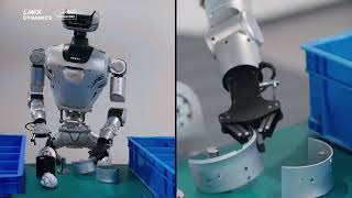 Limx Dynamics Oli EDU Humanoid Robot - RobotShop