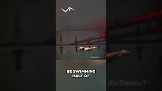 Unlock Faster Swims: Master Your Kick Out! #shorts