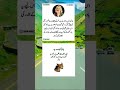 Motivational Words of great people #pti #inspirationalquotes #unfrezzmyaccount #motivationalquotes