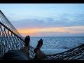 Top 5 Things to do in Key Largo - YouTube