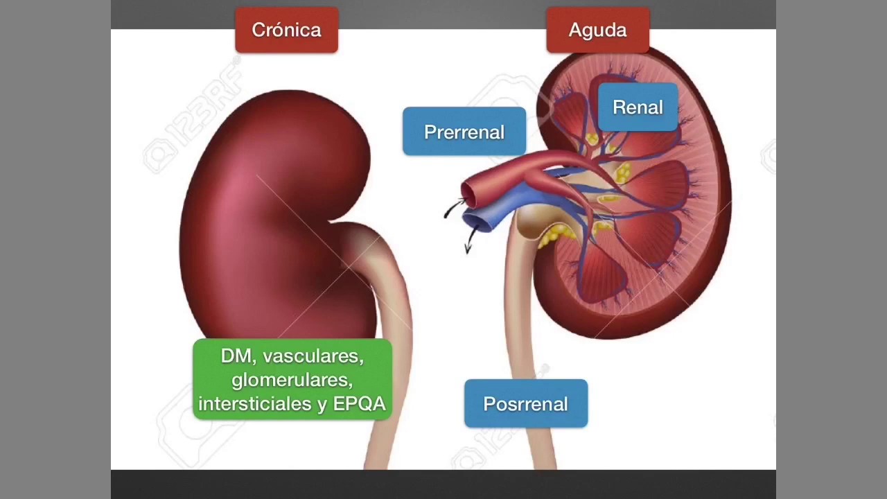 Medicina (N) - Tabla de contenido