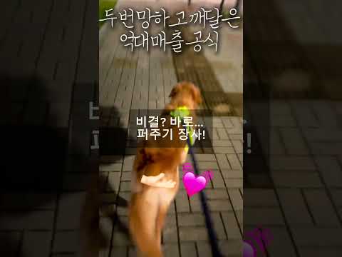 장사꾼 마인드, 두 번 망하고 깨달은 억대 매출 공식