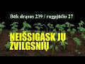 NEIŠSIGĄSK JŲ ŽVILGSNIŲ  -  BŪK DRĄSUS (239)