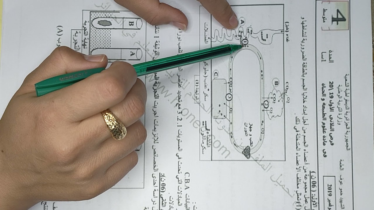 تمرين نموذجي حول الهضم عند الانسان سنة رابعة متوسط