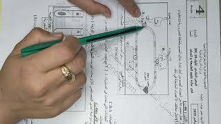 تمرين نموذجي حول الهضم عند الانسان سنة رابعة متوسط