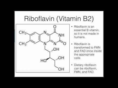 Video: Spektrum Klinis, Biokimia Dan Genetik Dari 70 Pasien Dengan Defisiensi ACAD9: Apakah Suplementasi Riboflavin Efektif?