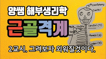 [해부생리학] 뼈대계통 그리자 외우자 뽀개자 (feat. 공부는 노가다)