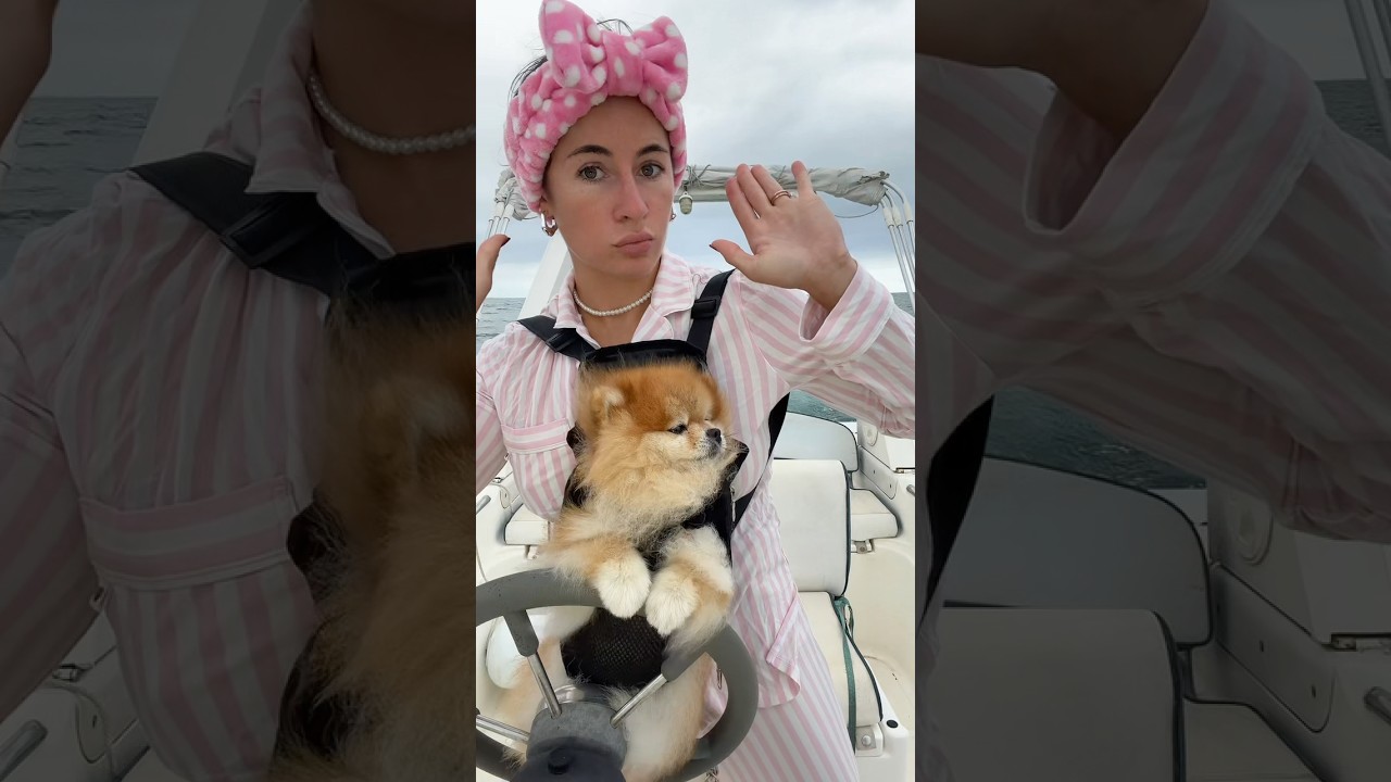 Il m’a dit, je pilote ! grimpe sur mon dos 🤷🏽‍♀️