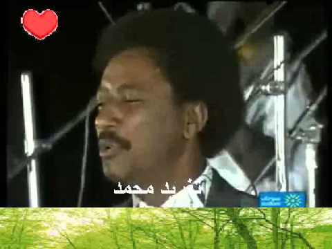 ما بنختلف درسني بس قانون هواك بحفظ حروفو حرف حرف تغريد محمد