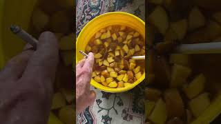 Peach brandy/moonshine mash.