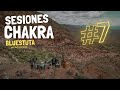 #7 Sesiones Chakra - BLUESTUTA