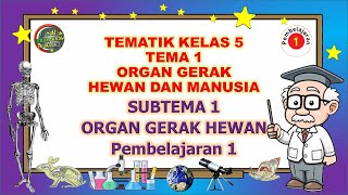 Kelas 5 Tematik : Tema 1 Subtema 1 Pembelajaran 1 (ORGAN GERAK HEWAN DAN MANUSIA)