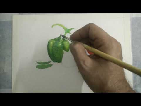 Water color painting  Still life of vegetables