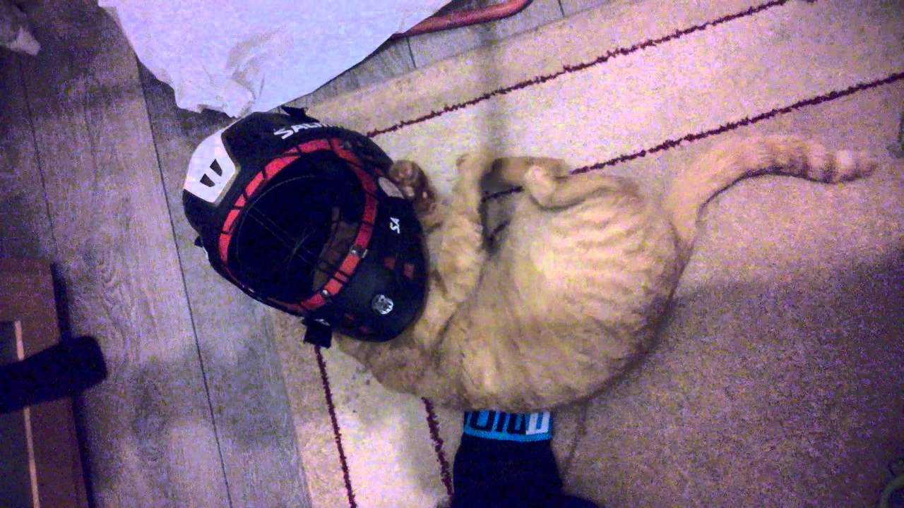 Mort do brány! final