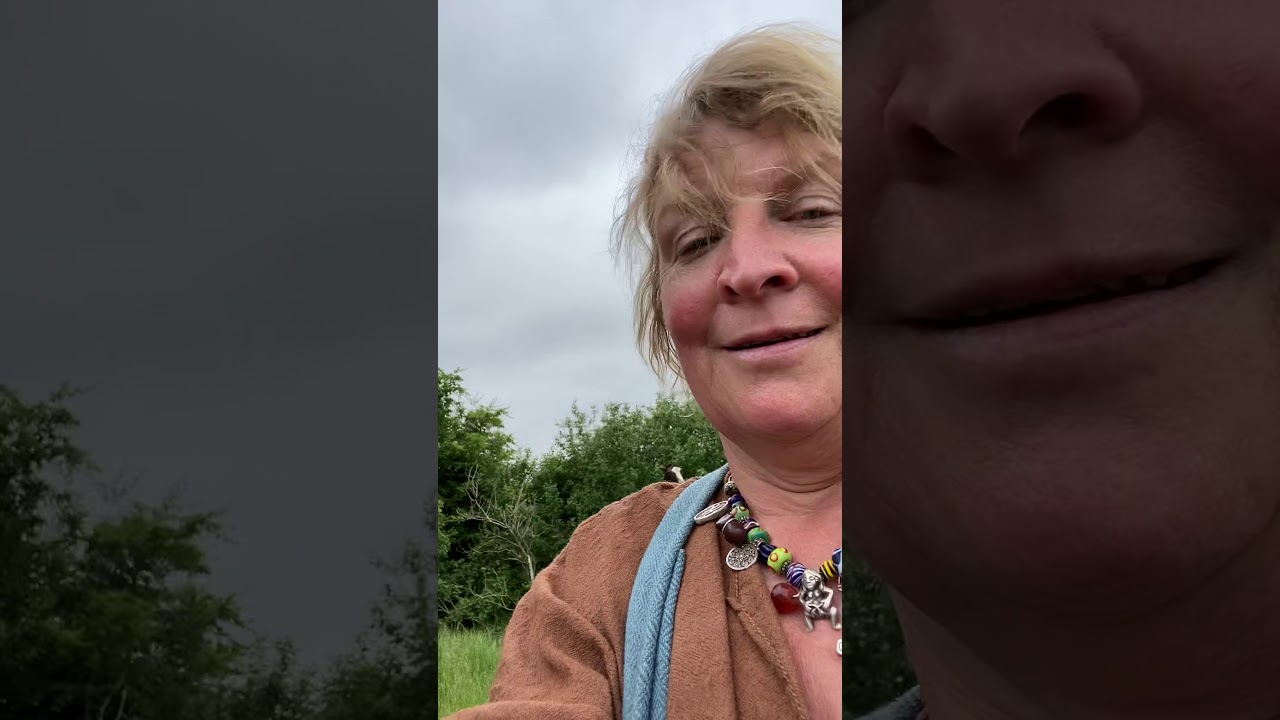 Hvordan Vølven bruger timian