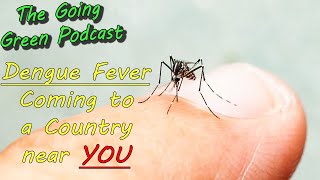 Dengue Fever: How UK Outbreaks Could Be on the Horizon | The Going Green Podcast, Episode 93