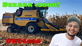 1 TARLA 1 MAHSÜL 1 SEZON /1.BÖLÜM: MISIR HASADI HEDEF +2000 KG/DEKALP 6050 13.5 CM EKİM ARALIĞI