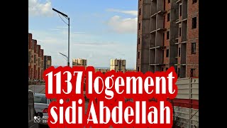موقع 1137 سيدي عبد الله