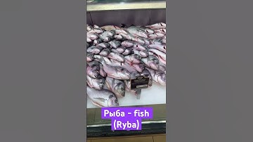 Food Products in Russian 🇷🇺 | learn Russian Language and vocab #russianlanguage #food #vocabulary