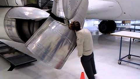 737 thrust reverser, steve dumas