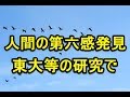 人間の「第六感」発見 東大&米の研究で