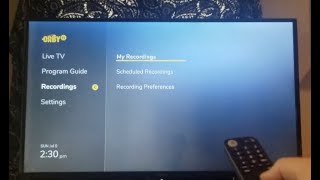 Using the Orby TV DVR