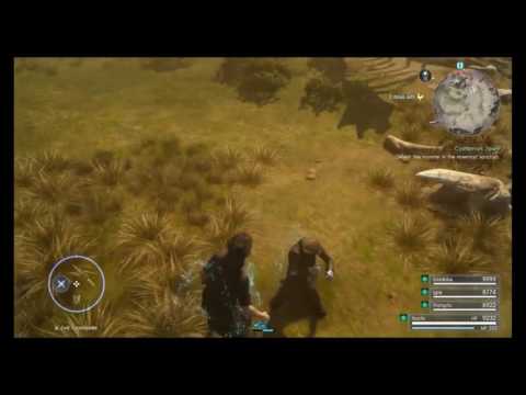 Um, Ignis? -  Final Fantasy XV