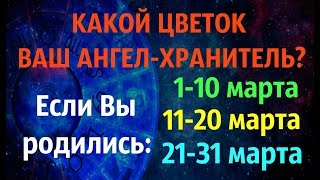 КАКОЙ ЦВЕТОК ВАШ АНГЕЛ ХРАНИТЕЛЬ? ДЛЯ РОЖДЕННЫХ В МАРТЕ * КЕЛЬТСКИЙ ГОРОСКОП