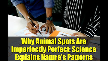 Why Animal Spots Are Imperfectly Perfect: Science Explains Nature