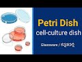 Petri Dishes Explained | Cell Culture Dish | Microbiology Glassware | DMLT #petridish #glassware