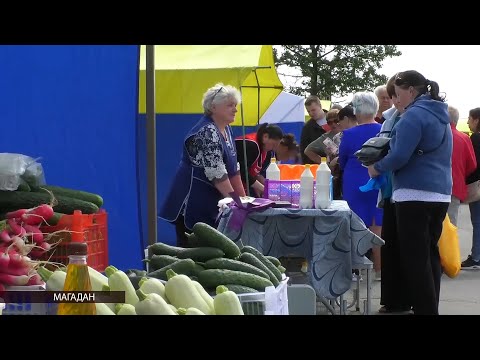 Льготный кредит могут взять владельцы личных подсобных хозяйств