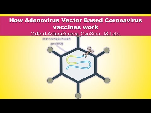 How Oxford-AstraZeneca's COVID-19 vaccine work - Adenovirus vector vaccine mechanism of action